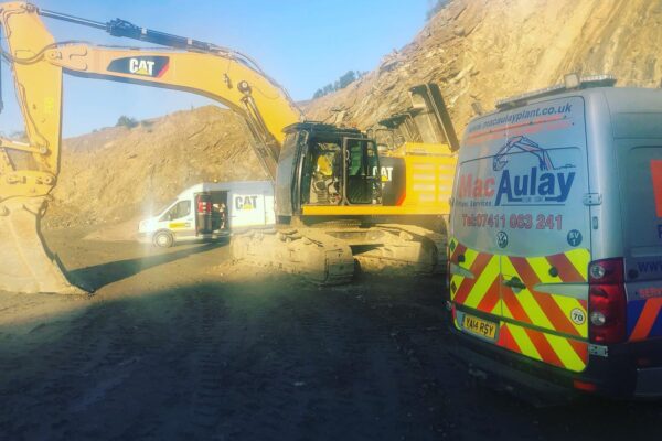 Big Cat 352F # Big Cat 352F #